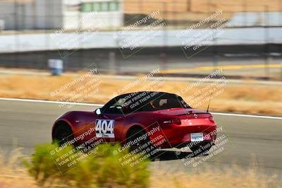 media/Sep-08-2024-VIP Trackdays (Sun) [[e20bd699b9]]/B Group/Session 3-Turns 5 6 and 7/